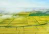 红色血脉、绿色屏障、金色粮仓：2981公里边境线上看兴边富民新图景