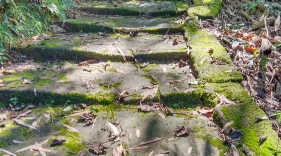 踏行千年茶马古道，感受立体景观与原生村落风情