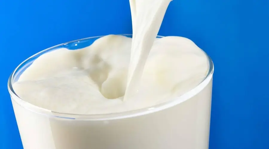 四闯IPO遇阻，百菲乳业水牛奶业务难破局