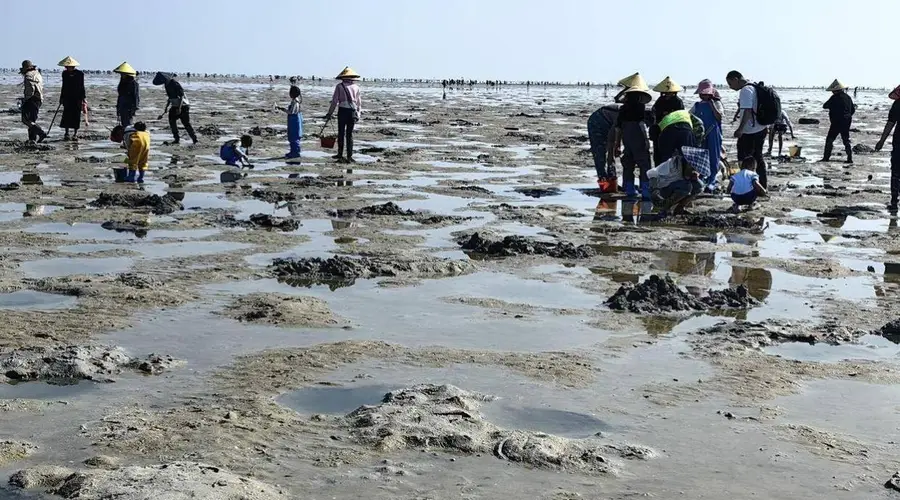 合浦沙岗镇赶海好去处 点位潮汐攻略速览