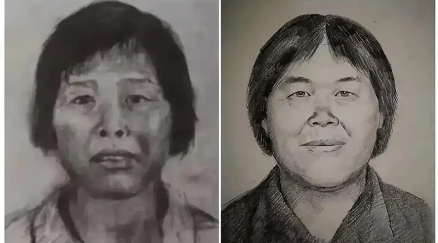 “梅姨”身份确认后被抓获 人贩子梅姨案进入审查起诉环节