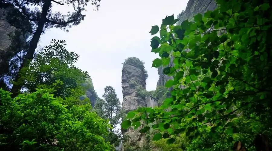 “雁荡山”到底在哪座城市?据说大多数人在3秒钟内都答不出来?