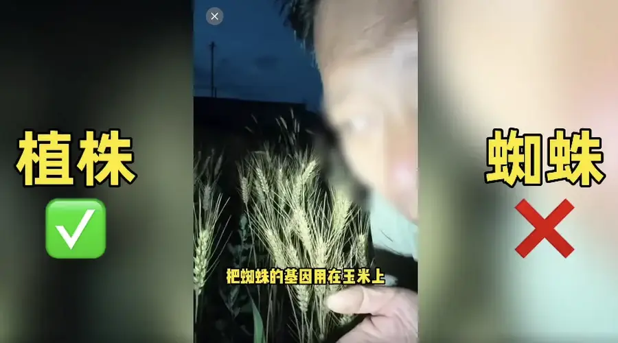 农业网红诋毁袁隆平成果,不能只封号就完事