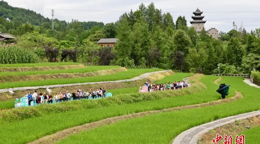 (乡村行·看振兴)耕读传家风 重庆古村以传统元素酿新变