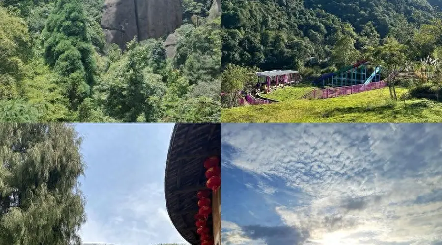 快节奏生活太疲惫?一杯陈年岩茶,道尽人生沉淀的大智慧