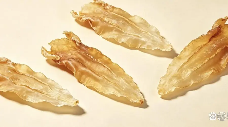 鱼胶怎么煲汤最好喝？5组家常经典搭配，滋补不重样！