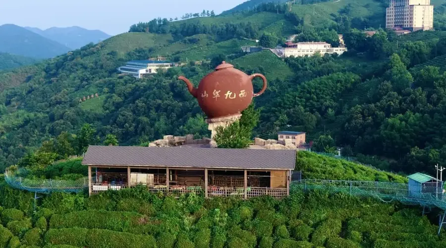 豫皖门户藏秘境,禅茶红韵陈淋子