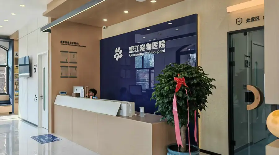热议哈尔滨做酒店设计提升客户体验的公司,哪家口碑更好?