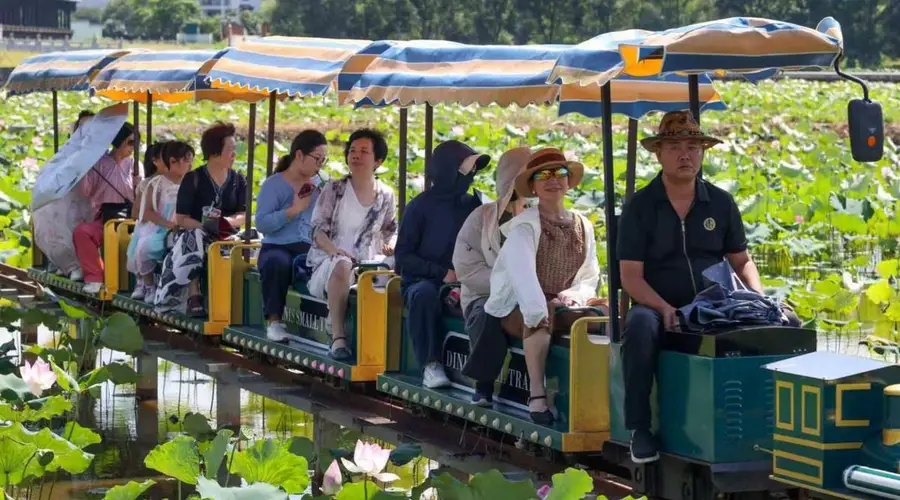 福建武夷山:五夫荷韵 盛夏逐芳