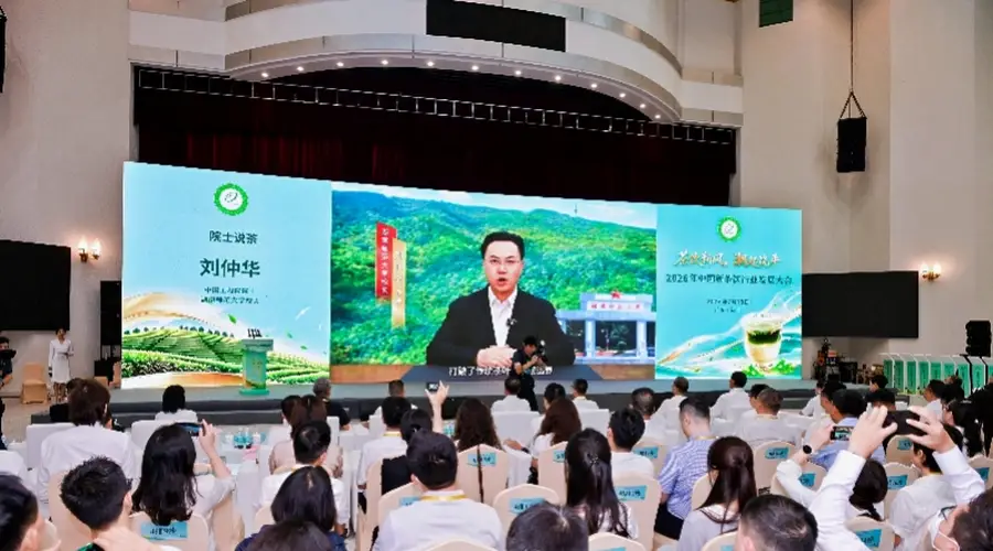 新茶饮市场规模将破3700亿,潮州饶平单丛产业引来新机遇