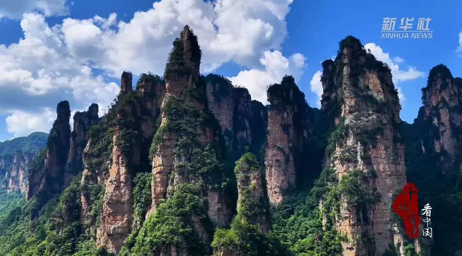 千城百县看中国|湖南张家界:金鞭溪畔觅清凉