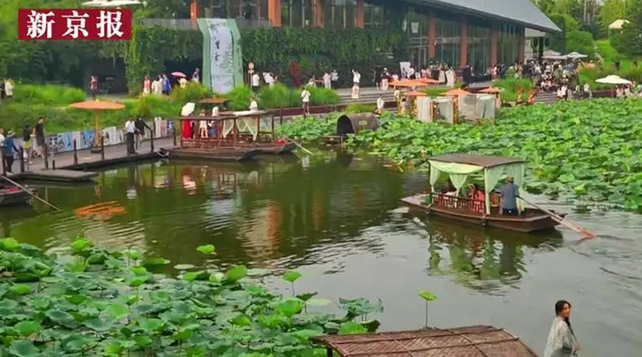 7月26日北京温榆河公园 荷以生活·艺术自然季启动 荷塘诗乐点亮夏夜