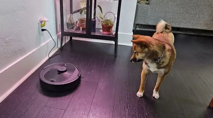 美国,封杀了中国扫地机