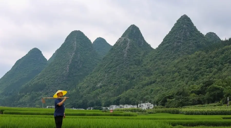 万峰林山野邂逅 亓卉布依土菜酸汤惊艳味蕾