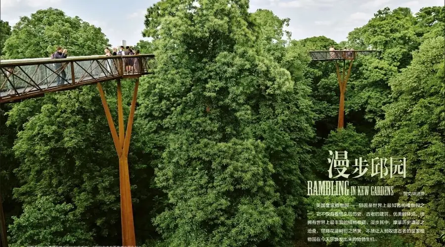 邱园三大温室珍稀植物抢先看