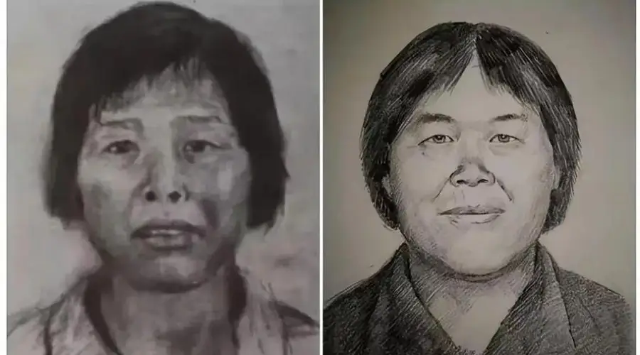 广州警方通报：梅姨真实身份系谢某某，张维平拐卖儿童案已进入审查起诉环节