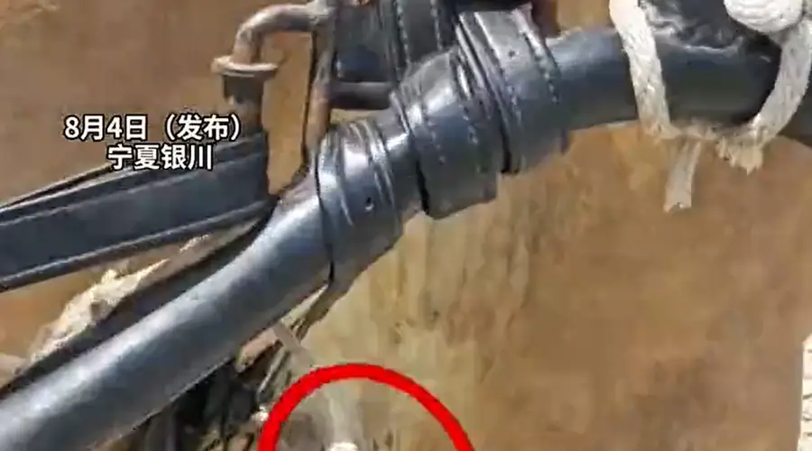 宁夏银川西夏陵因免票游客激增 马匹拉车致皮外伤 景区致歉并处置涉事马匹
