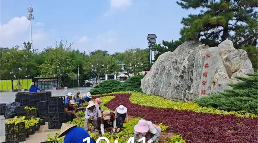 市公园城市服务中心启动齐盛湖公园精细化管护行动 提升游园品质