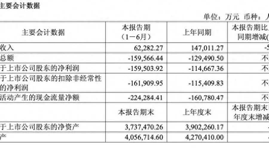 市场需求阶段性疲软叠加产业链价格博弈影响 大全能源上半年净亏损15.95亿元 同比增亏