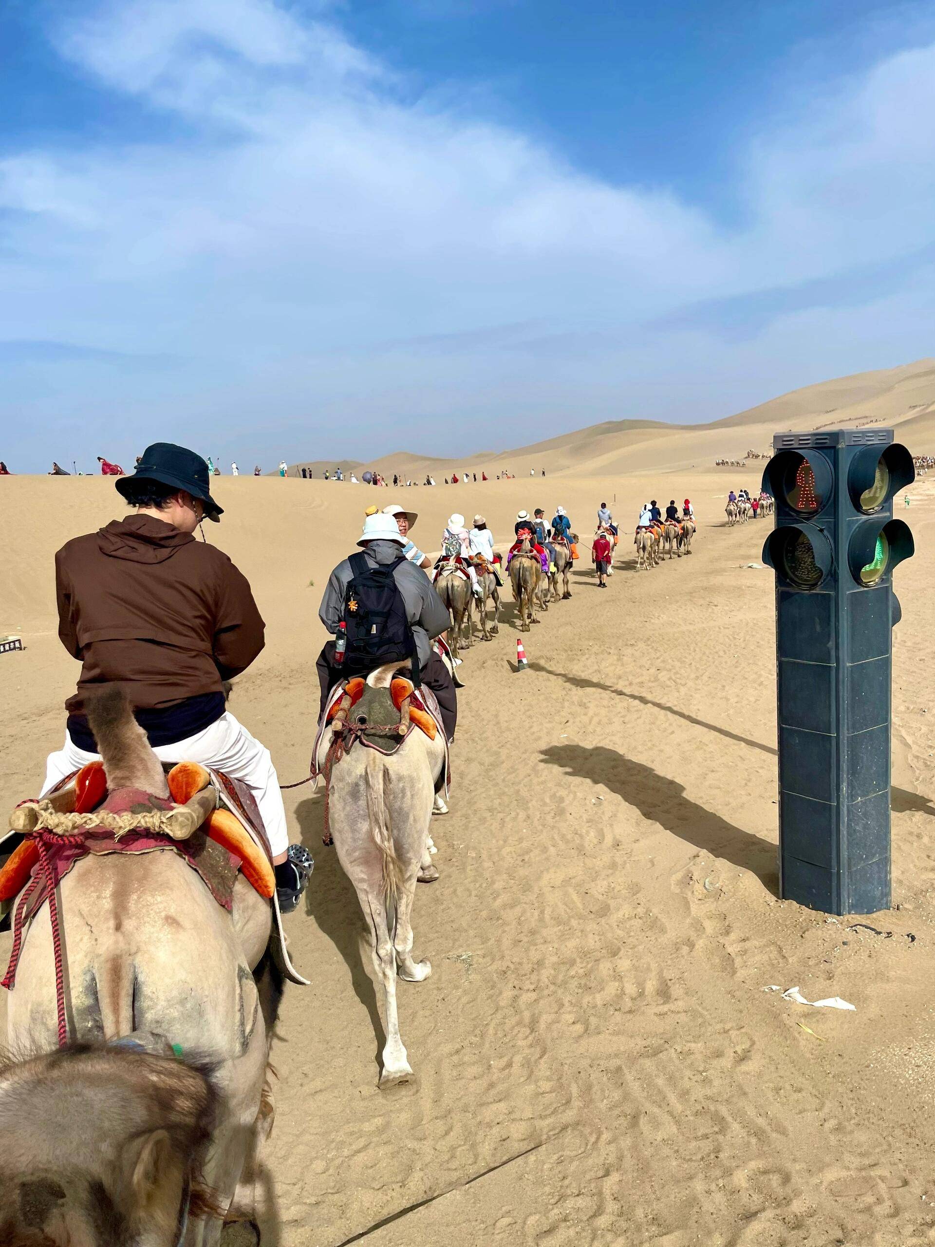 青海吆零玖国旅青甘亲子团资质核验，出行前必看攻略指南
