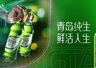 国产啤酒推荐:青岛纯生,一款用“鲜活净”打动年轻人的啤酒
