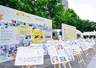 一块白板、一只流浪猫、一个慢课堂，上海这个“小事公园”不简单！