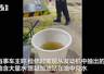 广西数名车主加油后车辆抛锚,有人质疑油中兑水,市监局回应