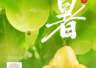 优·时节 | 小暑蝉声沸 百香蜜意长