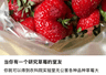 “我是农学生，这是我们组的杂交玉米……”
