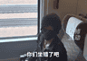 艺人占座高铁座位引热议 铁路部门：涉事列车全程座位无变更