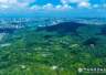 南京钟山风景区面向全国2026年高校新生免景点门票