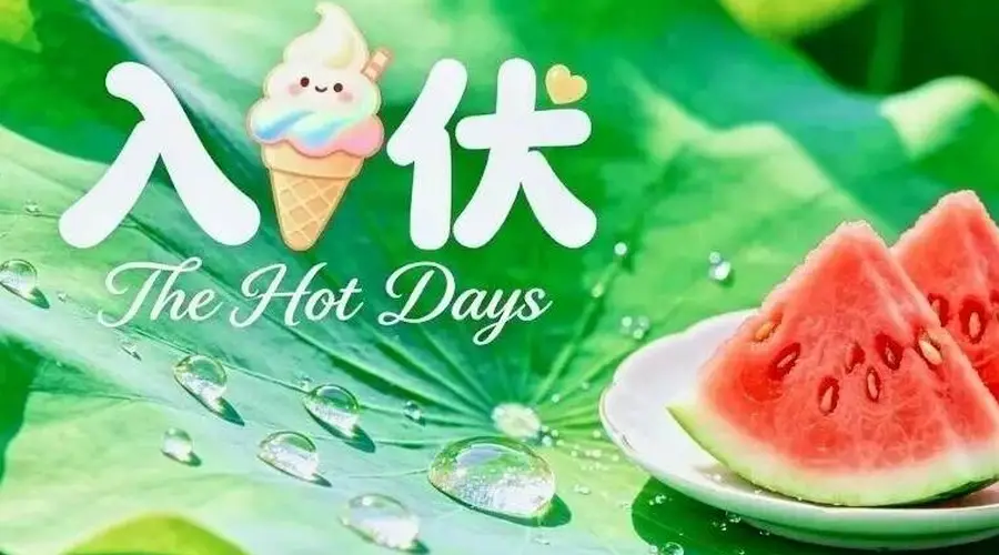 明日入伏,三伏天清淡祛湿一日三餐食谱,舒舒服服过夏天!