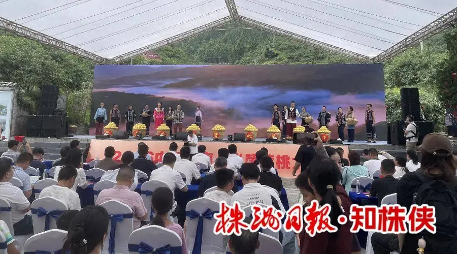 第四届炎陵黄桃文化季启幕推出三条精品路线
