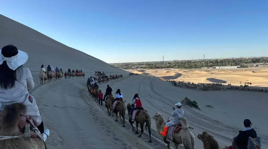 青甘大环线毕业团购旅行 避坑攻略速览