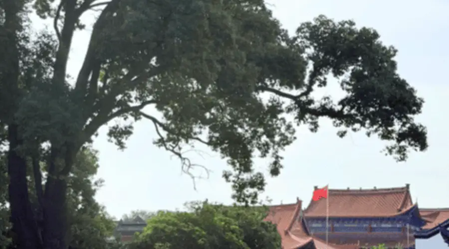 枝江郊野闲逛，江湾沿线体验江畔闲情