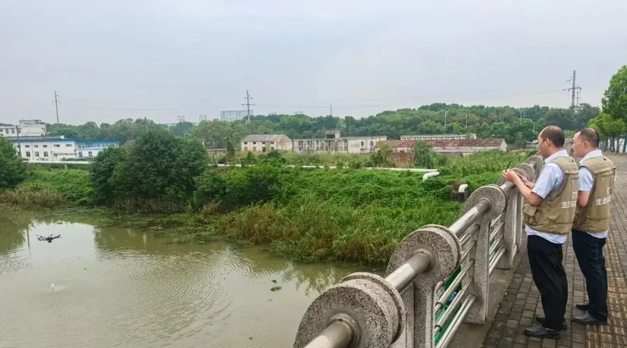 “诊查析”三维发力 常州以科技赋能守护滆湖一汪碧水