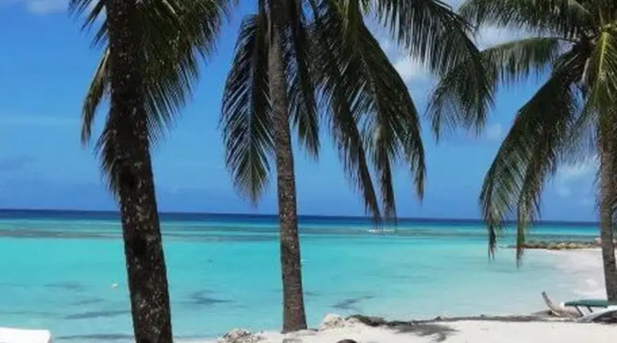 【嗨游暑期】踏浪宿务薄荷岛,深蓝大海诉说心动