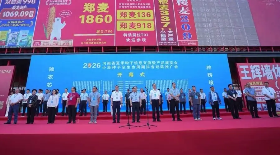 许为钢:聚焦大宗主食品质升级 把脉小麦品种改良方向
