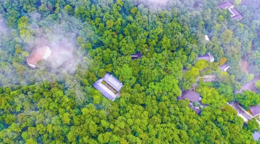 夏日出逃计划:直达大洪山21°C清凉秘境!