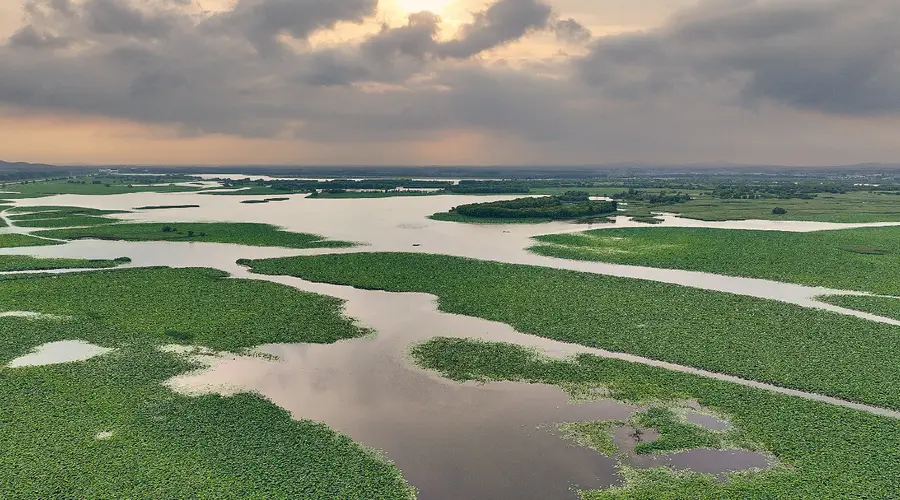 辽河七星湖景区7月9日盛大开园 解锁夏日生态盛景