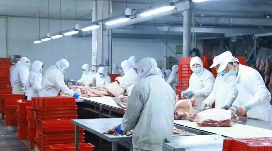 潍坊猪肉首次出口非洲 海外市场再添新版图