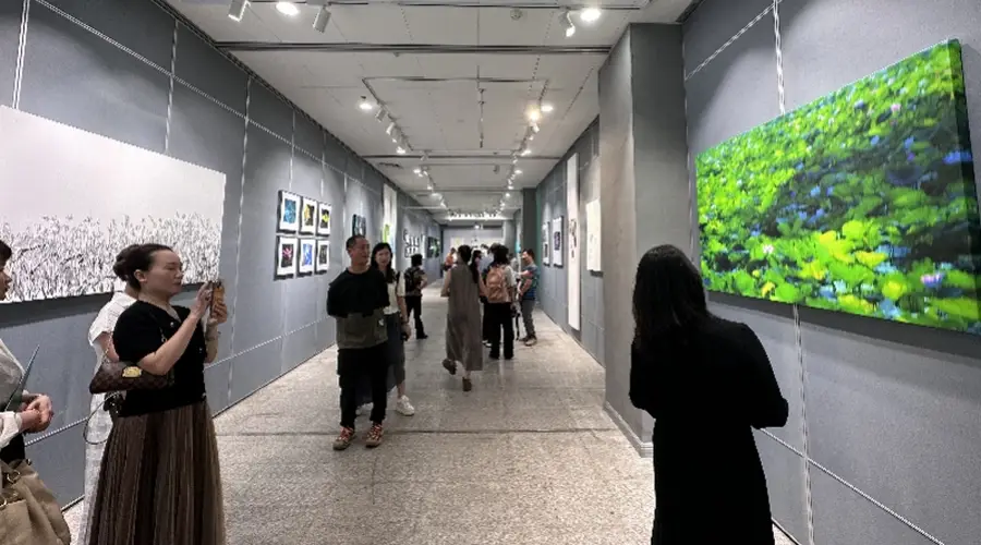 揽四时荷韵!来中山纪念图书馆赴一场荷塘雅课