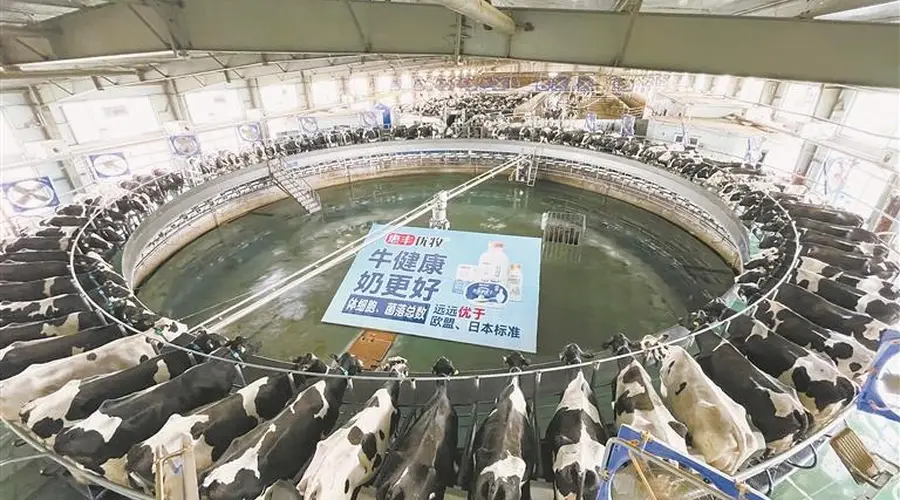 龙江奶业全产业链升级打造“超级工程”