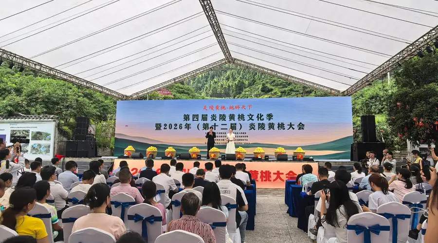 第四届炎陵黄桃文化季启幕 推出三条精品路线 应届中高考生免费游三大景区