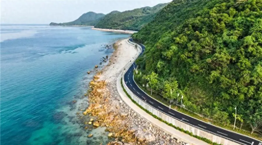 暑期大鹏假日专线延时运营 直达滨海景区