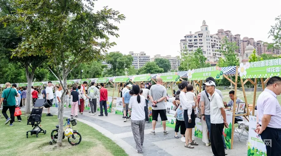 上海松江九里亭街道:打造全龄友好夏日文化矩阵,提升居民获得感与幸福感