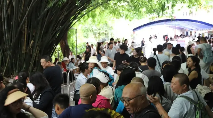贵阳黔灵索道避暑季日均接客六千 迎客流高峰