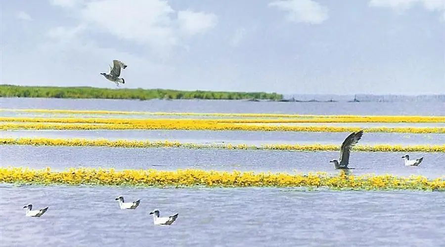 岸边渔船扬帆出海 摄影师捕捉旭日穿云湖景