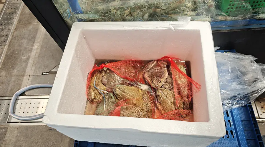 上海牛蛙抗生素风波后记者实地探访 部分餐厅、农贸市场经营未受影响