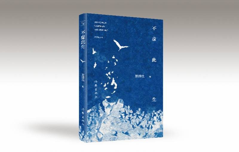 书写人类共同的悲欢：郑锦杭长篇小说《不虚此生》出版